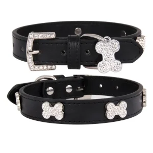 Small Dog Collar