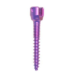 Pedicle Screws