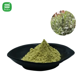 High Quality Standardized Carnosic Acid 5% 10% 20% for Cosmetics and Food Rosemary Extract