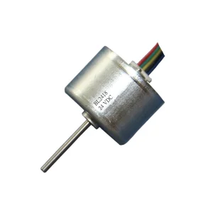 Mini Brushless Motor
