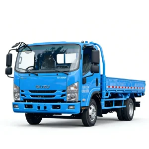Isuzu Cargo Truck