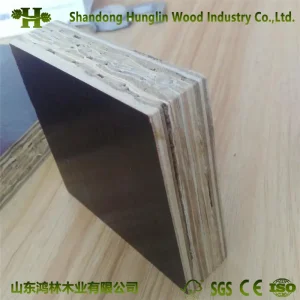 Eco-Friendly Bamboo Marine Plywood/Container Plywood