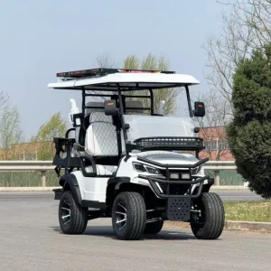 Enclosed Golf Cart Weatherproof Cabin Golf Buggy with Heater
