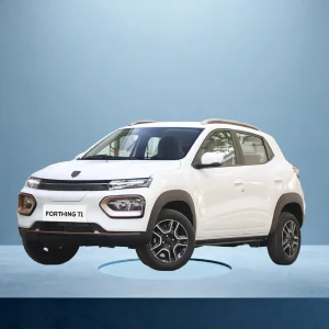 Dongfeng Forthing T1 Mini EV
