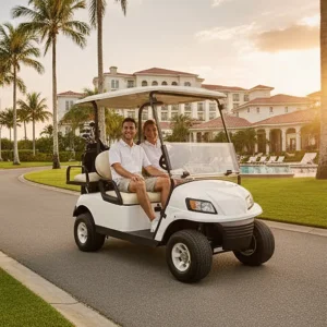 Enclosed Golf Cart Cheap Electric Golf Carts Golf Cart 2 Seat
