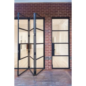 Industrial Modern Design Swing Metal Frames Steel French Windows