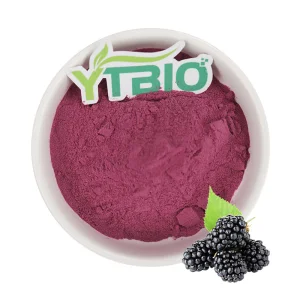 Mulberry Extract Powder for Cosmetics, Skin Care &amp; Functional Food Ingredients