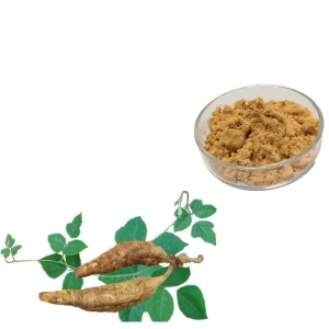 Best High Quality Puerarin 10%-98% Kudzu Root Extract /Pueraria Lobata Extract/ Pueraria Extract Powder for Health and Wellness Manufacturer, Factories