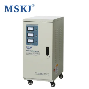 Single Phase Servo Motor Voltage Stabilizer