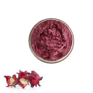 Wholesale Premium Water Soluble Roselle Extract,Hibiscus Sabdariffa Extract Anthocyanins Botanical Powder for Food & Beverage Manufacturers, Supplier