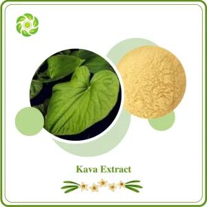 World Well-Being Biotech ISO&FDA Certified OEM Manufacturer Factory Supply Natural Botanical Extract High Quality10%-70% Kavalactones Kava Extract