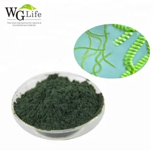 Spirulina Algae Protein Powder