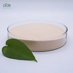 Good Market Biostimulants Compound Amino Acid 80% Quick Soluble Powder Enhance Plants Growth From Plant Source