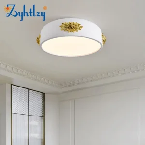 Modern Designer Ceiling Light Acrylic Shape Nordic Creative Decorative LED Lighting for Living Room (ZY-FS007)