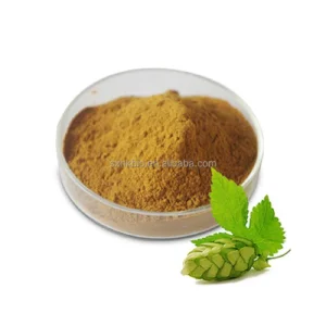 Hop Extract 10: 1 Factory Supply Food Grade Hops Flower Extract Powder