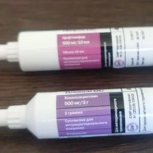 Cefquinome Sulfate Intramammary Infusion