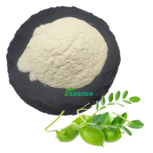 Factory Supply Pure Food Grade Garbanzo Beans Powder Aquafaba Powder Chickpea Protein