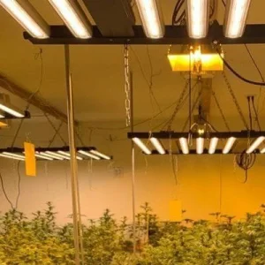 Foldable Indoor Plant Grow Light