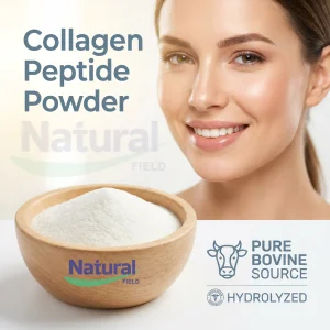 ISO Factory Supply Best Collagen Supplements