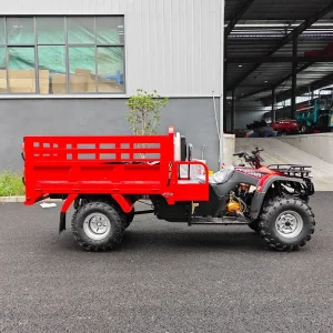 Triciclo eléctrico auto rickshaw tuktuk