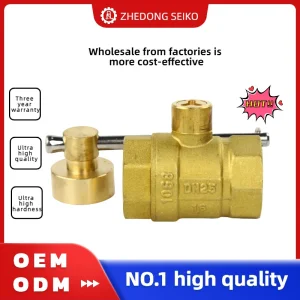 Brass Globe Valve