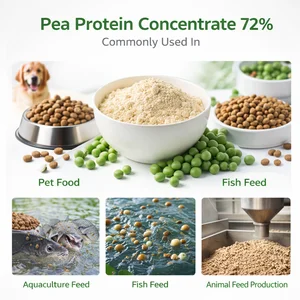 Pea Protein Concentrate 72% Plant Protein Powder