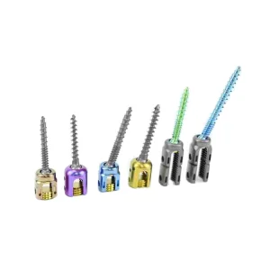 Spinal Screws