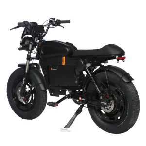Electric Motorcycle with Mini Size 60V Power Brushless Hub Motor