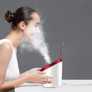 High Quality Steam Spray to Clean Pores