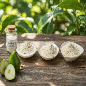 High Purity Food Grade Solvent-Free Pure Water Extracted Naringin Grapefruit Peel Extract Powder in Drum Packaging