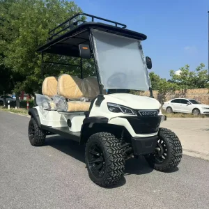 48/60/72V 4WD عربة جولف كهربائية بإطار من سبائك الألمنيوم وسلة أمتعة مثبتة على السقف