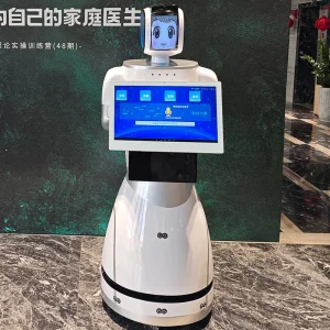 Multi-Language Support Voice Control Smart Navigation Yinyin Robot