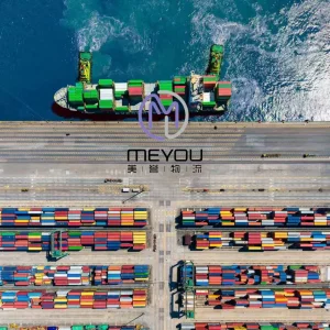 China to USA Sea Freight Forwarding - DDP/DDU Door-to-Door Transportation Service