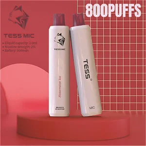 800 Puffs Vape Nicotine Salt Juice Disposable Device