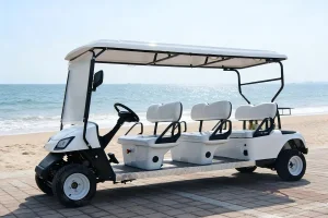 Commercial OEM/ODM Buggy Electric Golf Cart with Maintenance-Free Battery