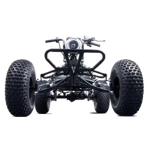 Multi-Purpose Off-Road Electric Buggy Kart
