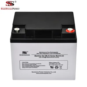 12V Gel Battery