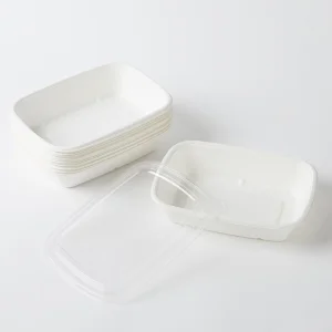 Biodegradable Eco Disposable White Sugarcane Round Food Container