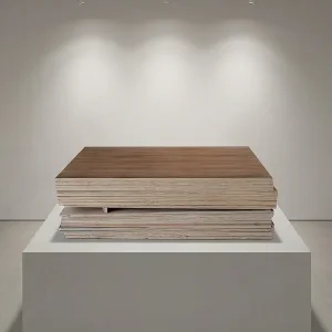 Okoume Veneer Plywood