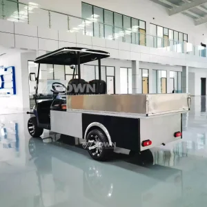 Customized 2 Seater Electric Cargo Golf Cart AC Motor 3/4/5KW Lithium Battery Off-Road Mini Pickup Truck All-Terrain CE