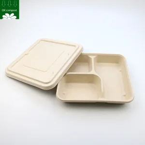 Biodegradable Sugarcane Bagasse 3 Compartment Tray