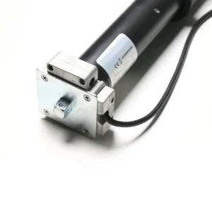 Dual Voltage Motor