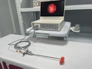 Rigid Digital Video Nephroscope Nephroscopy Percutaneous Nephrolithotomy Endoscope