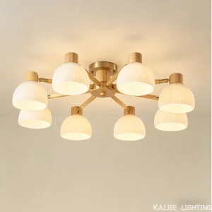 Japandi Style Ceiling Light
