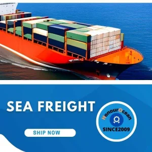 Professional FCL Full Container Load Shipping Agent and Freight Forwarder Shipping From China to Amazon Fba Warehouse
