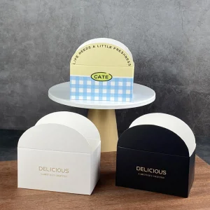 Biodegradable Disposable Food Packaging Box