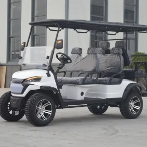 High Performance Luxury 6-seater Street Legal Lithium Battery Electric Off-road Golf Cart 3.5KW AC Motor 90km Range for Campsite