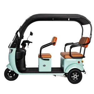Intelligent Braking Golf Cart