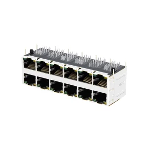 RJ45 Stacked Jack 2x6 Port