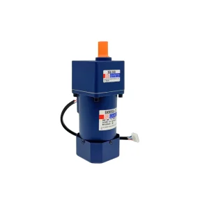 AC Micro Gear Motor